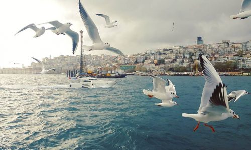 رحلة مضيق البسفور في اسطنبول