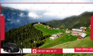 جولة حيدر نبي