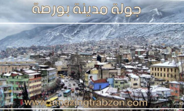 جولة-بورصة